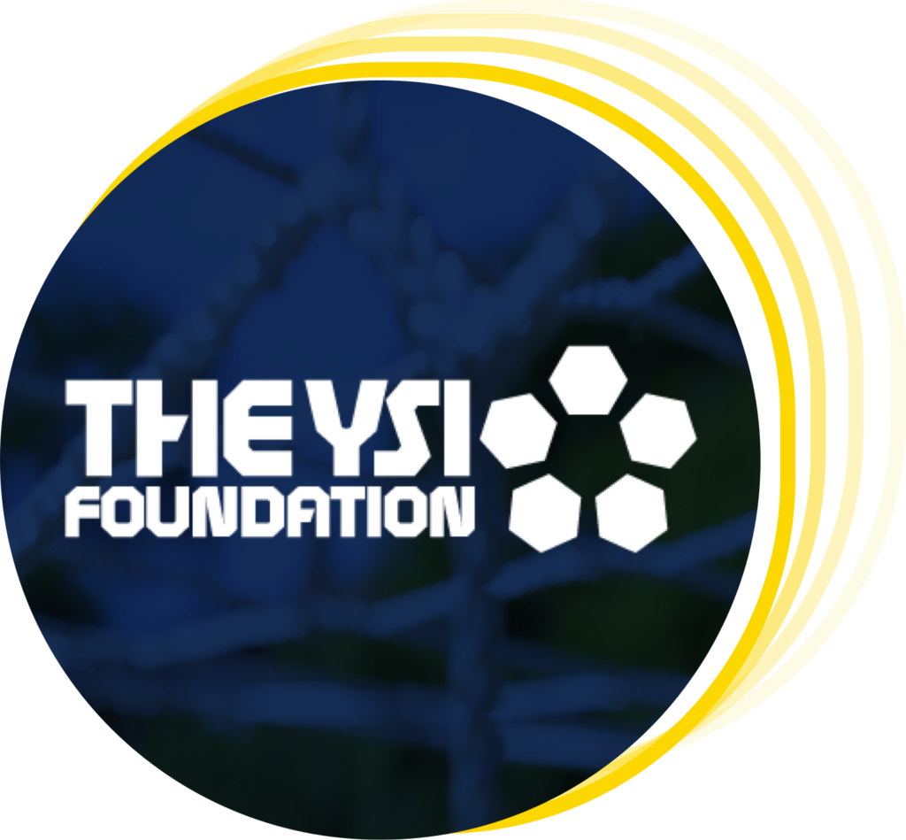 YSI FOUNDATION LOGO ASSET